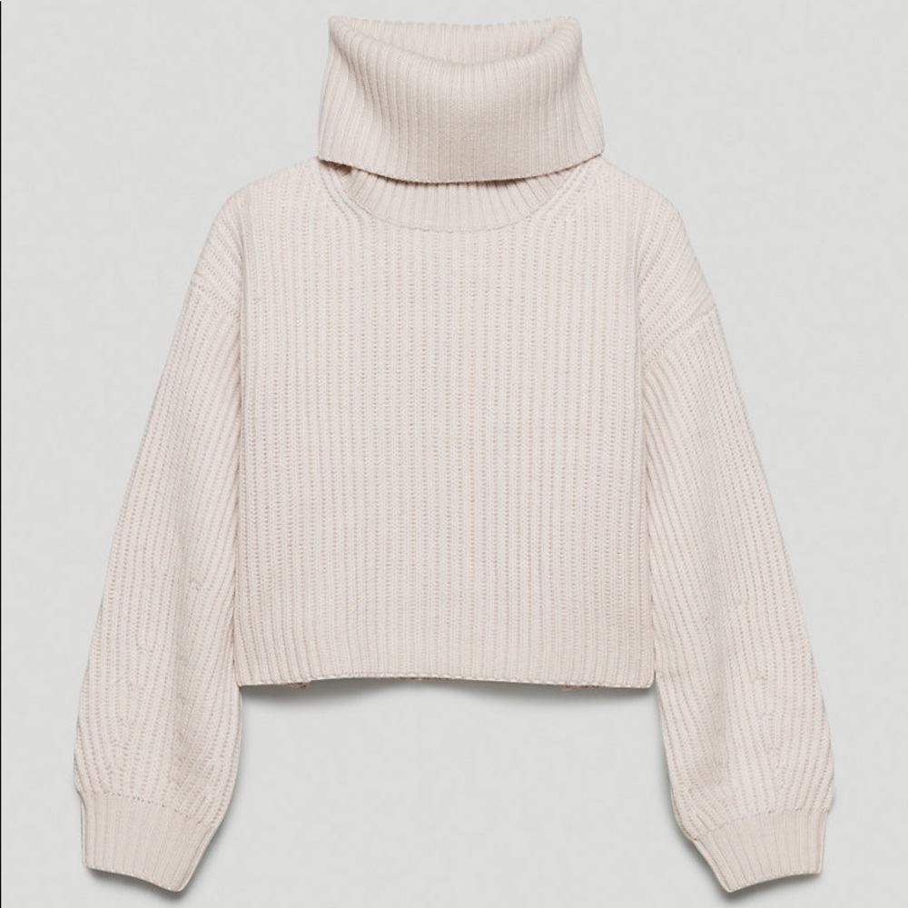 Aritzia | Relaxed wool turtleneck sweater